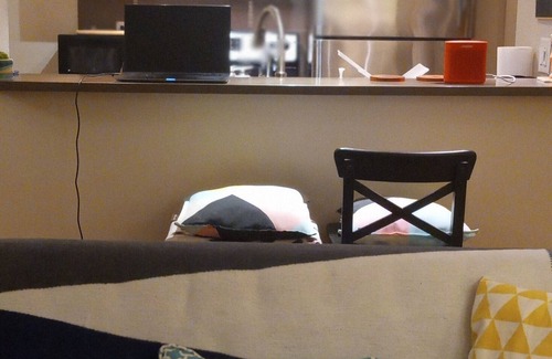 Columbia City Apartment | Charming pet friendly apartment close to cafes and park in delightful Seattle