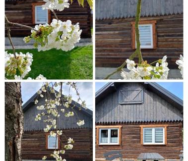 gmina Debowiec House | Chata Miła Agroturystyka