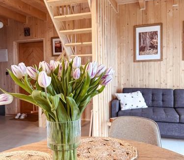 Komancza Ski Chalet | Chaty w chmurach