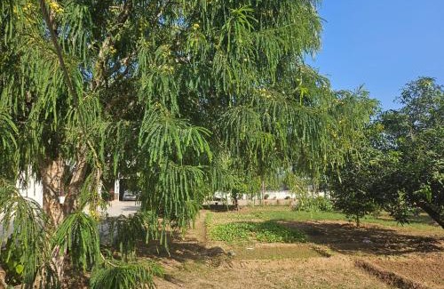 Kishangarh House | Cheemas farm stay