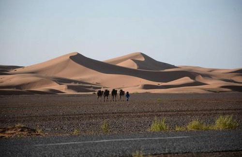 Taouz House | Chez les habitants