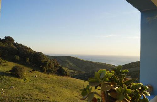 Sahel Chamali Apartment | chez yassine