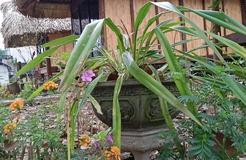 Chiem Hoa Apartment | Chin house