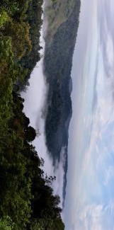 Rajakkad House | Chittadiyil Homestay