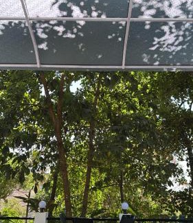 Rajakkad House | Chittadiyil Homestay