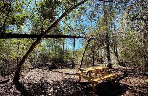 Cantonment RV Rental | Christian Retreat Campsite #2 - Cozy Canopy