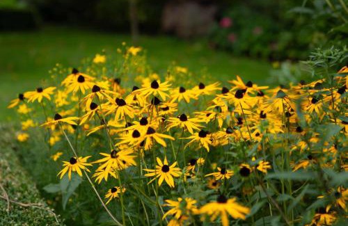 Norderbrarup Apartment | Christines Kate