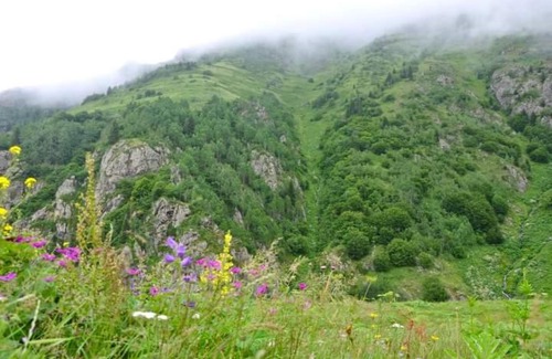 Camlihemsin House | cicekli pansiyon camping