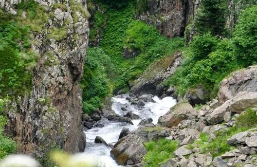 Camlihemsin House | cicekli pansiyon camping