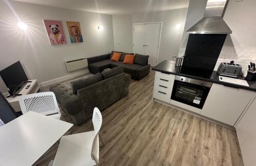 Castle Quarter Apartment | City centre apartment 2