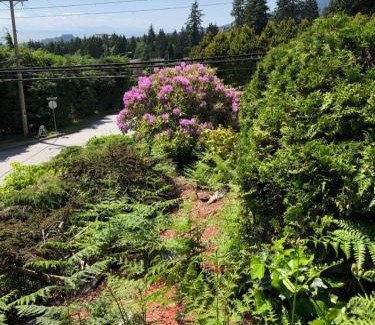 Upper Lonsdale Bed & Breakfast | City Gardens Suites B&B