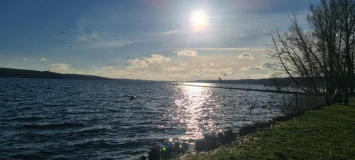 Neubrandenburg Apartment | City Villé Ferienwohnung Innenstadt