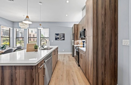 Cedars Apartment | CityScape-Downtown Dallas