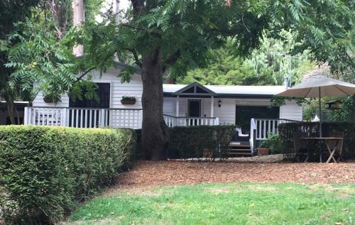 Sassafras Cabin | Clarendon Cottages