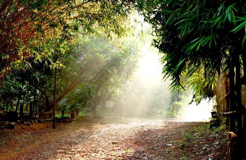 Irinjalakuda House | Clayfingers Art Cottage