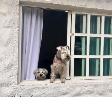 Santa Maria Ahuacatitlan Hotel | Club Santa Maria