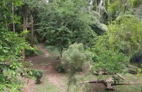 Chumphon House | CocoHut Guesthouse