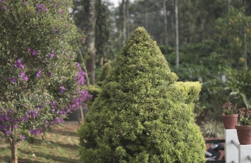 Gudalur Villa | CoffeeKnolls By Lexstays Wayanad