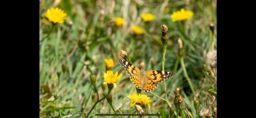 Banna Bed & Breakfast | Cois na Mara Eire code V15 T677