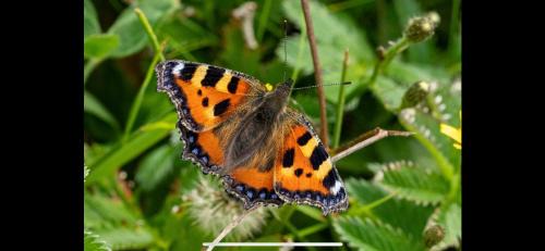 Banna Bed & Breakfast | Cois na Mara Eire code V15 T677