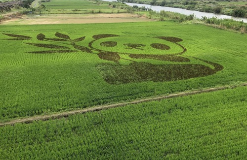 Zhuangwei House | Colors of the wild
