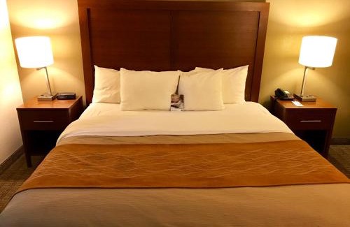 Hobart Hotel | Comfort Inn Hobart-Merrillville I-65