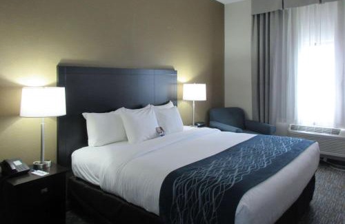 Port Huron Hotel | Comfort Inn Port Huron