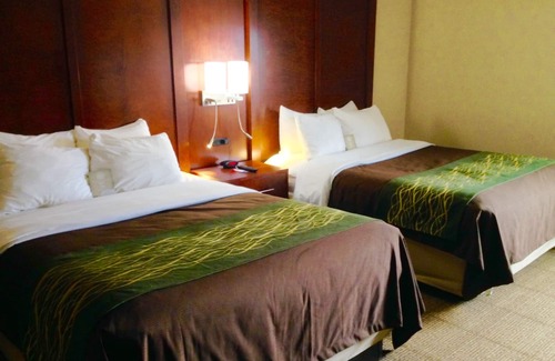 East Haven Rutland County Hotel | Comfort Inn Rutland - Killington