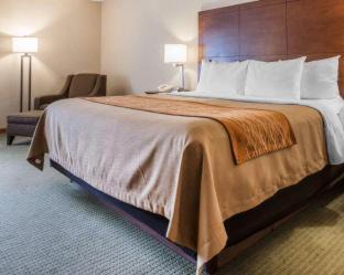 Salida Hotel | Comfort Inn Salida