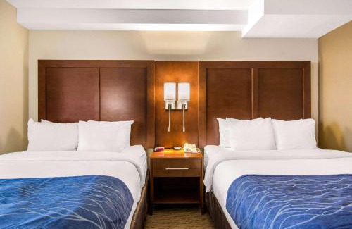 Medicine Hat Hotel | Comfort Inn & Suites