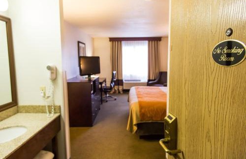 Paw Paw Hotel | Comfort Inn & Suites Paw Paw