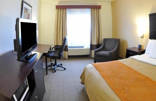Paw Paw Hotel | Comfort Inn & Suites Paw Paw