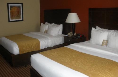 Rogers Hotel | Comfort Inn & Suites