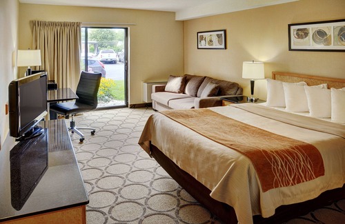 Sydney Hotel | Comfort Inn Sydney