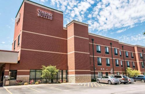 Canton Hotel | Comfort Suites Canton - Detroit
