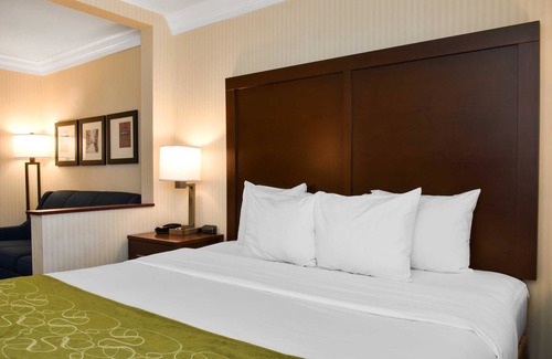 Carlisle Hotel | Comfort Suites Downtown Carlisle