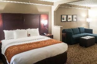 Alcoa Hotel | Comfort Suites Knoxville Airport