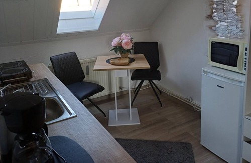 Dorfles-Esbach Apartment | Comfortable single apartment with living area and kitchenette