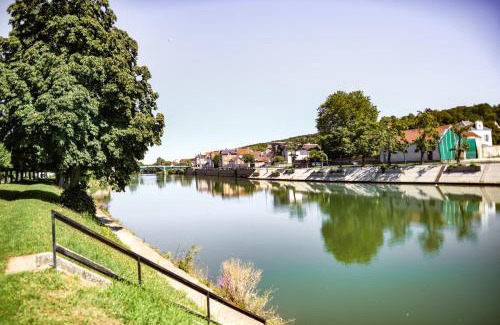 Nogent-l'Artaud Apartment | Confort et chaleureux 5 min gare