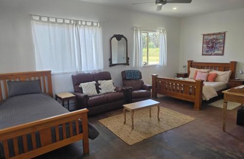 Farrell Flat Apartment | Contemporary Studio Accommodation