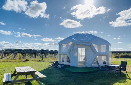 Comaum Other | Coonawarra Hampton Bubble 1