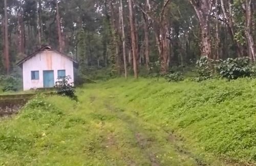 Suntikoppa House | coorg Namana homestay