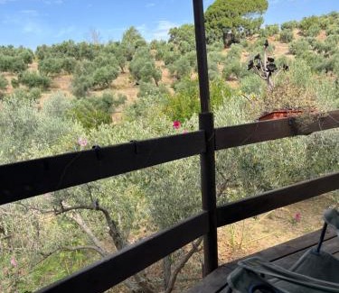 Lanjaron Other | Cortijo alhijra big yourte