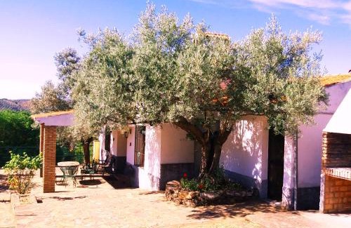 Pozoblanco House | Cortijo "Era Grande 2"