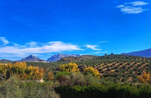 Rute House | Cortijo La Cañada