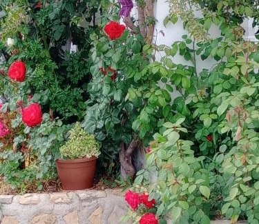 Montefrio House | Cortijo Rural Buenavista Montefrio