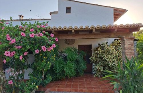 Cullera Apartment | CortijoRamon