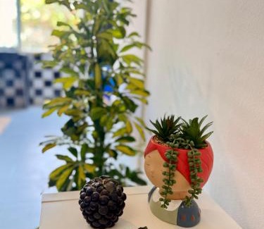 Estoril Apartment | Cosy apartment Estoril