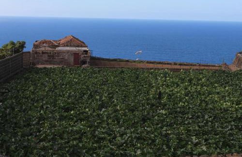 La Mancha Ski Chalet | Cosy chalet with panoramic views in Icod de los Vinos - 70m²