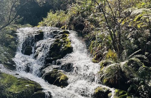 Hikuai Cabin | Cosy Log Cabin! Perfect for all those wanting to relax, destress and reconnect.